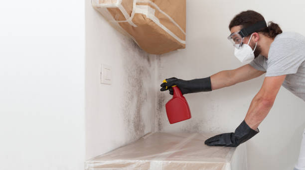 Professional Crawl Space Mold Remediation technician working in Grand Rapids, MN
